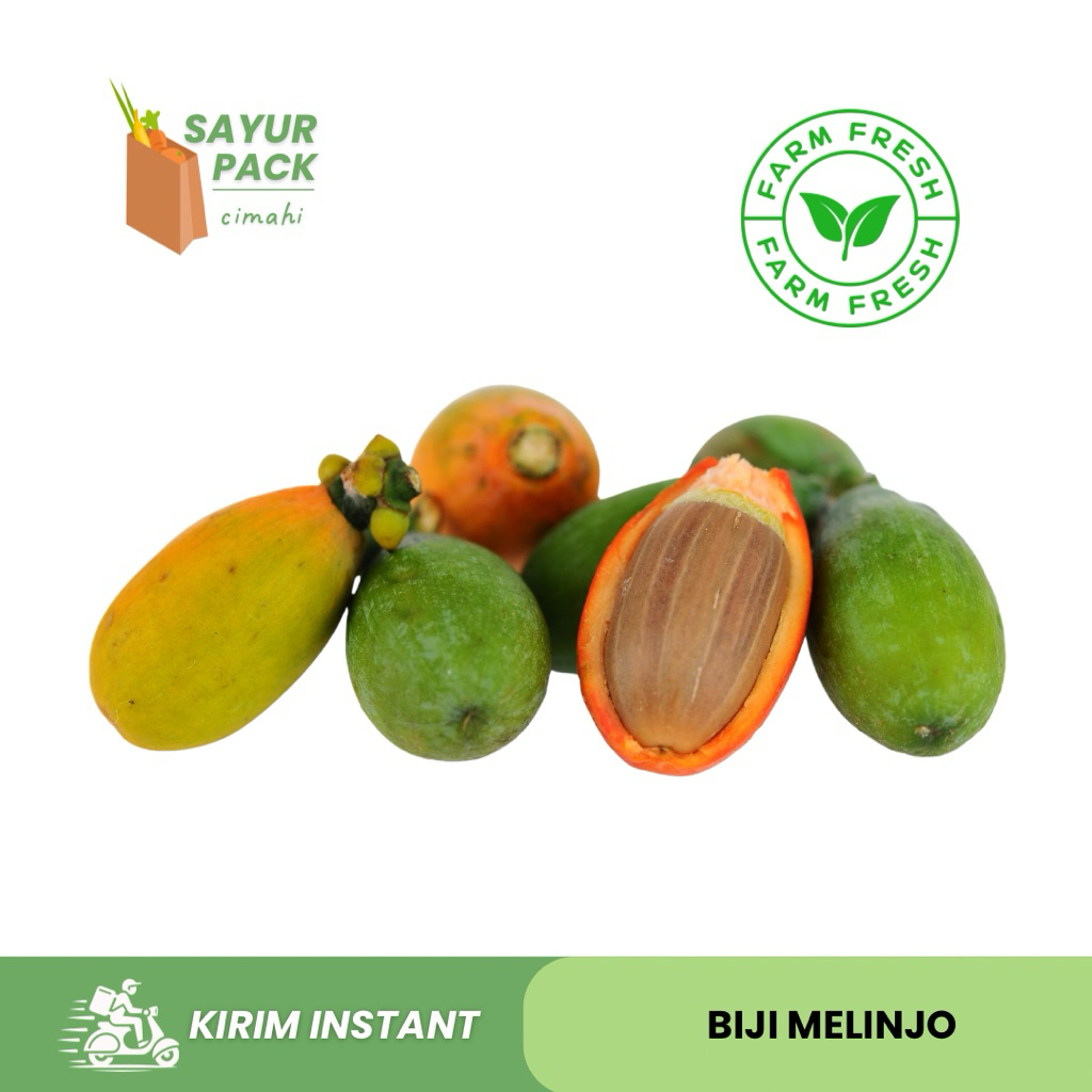 

BIJI MELINJO | kacang melinjo | biji tangkil | sayur instant cimahi