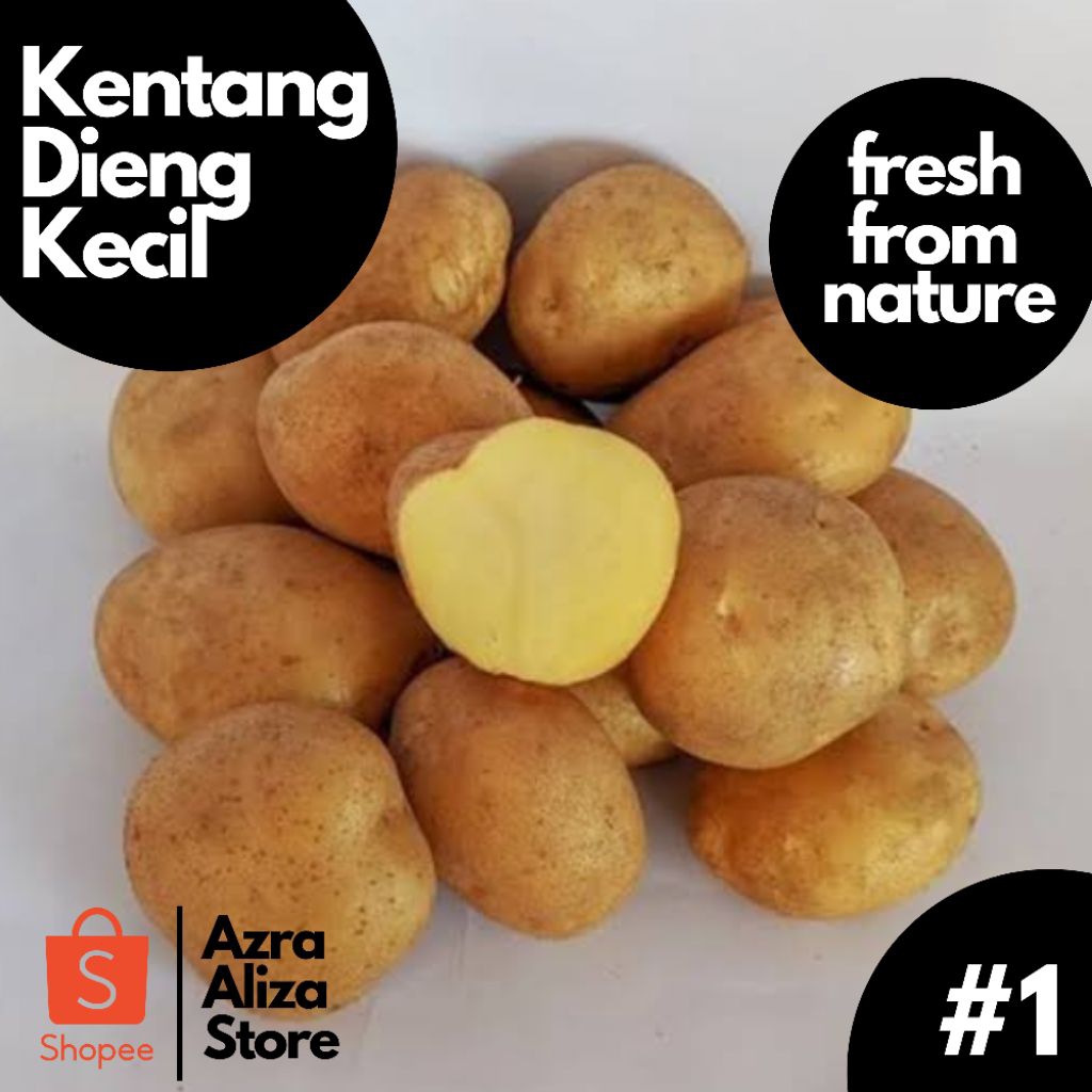 

Kentang Dieng Kecil
