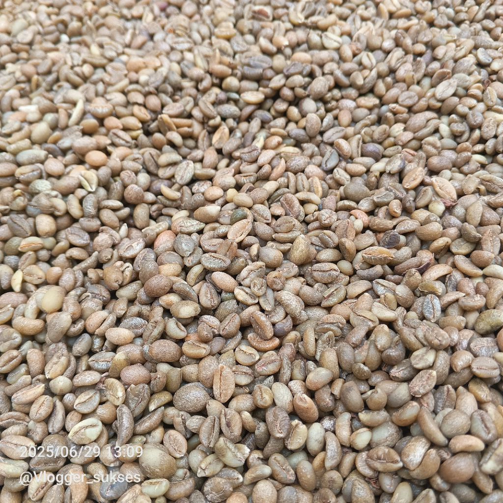 

Biji Kopi Green Bean 500 gram