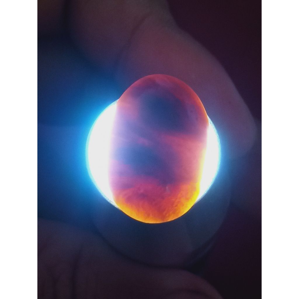 Batu Fosill Kelor Kristal Merah