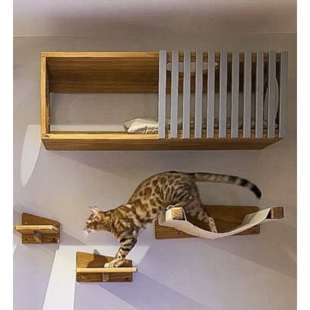 Rumah kucing | Cat playground | mainan kucing | cat box | box kucing