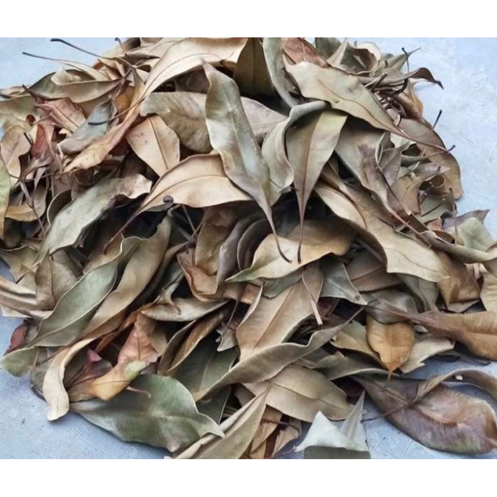 

daun cengkeh kering per 1kg buat ramuan