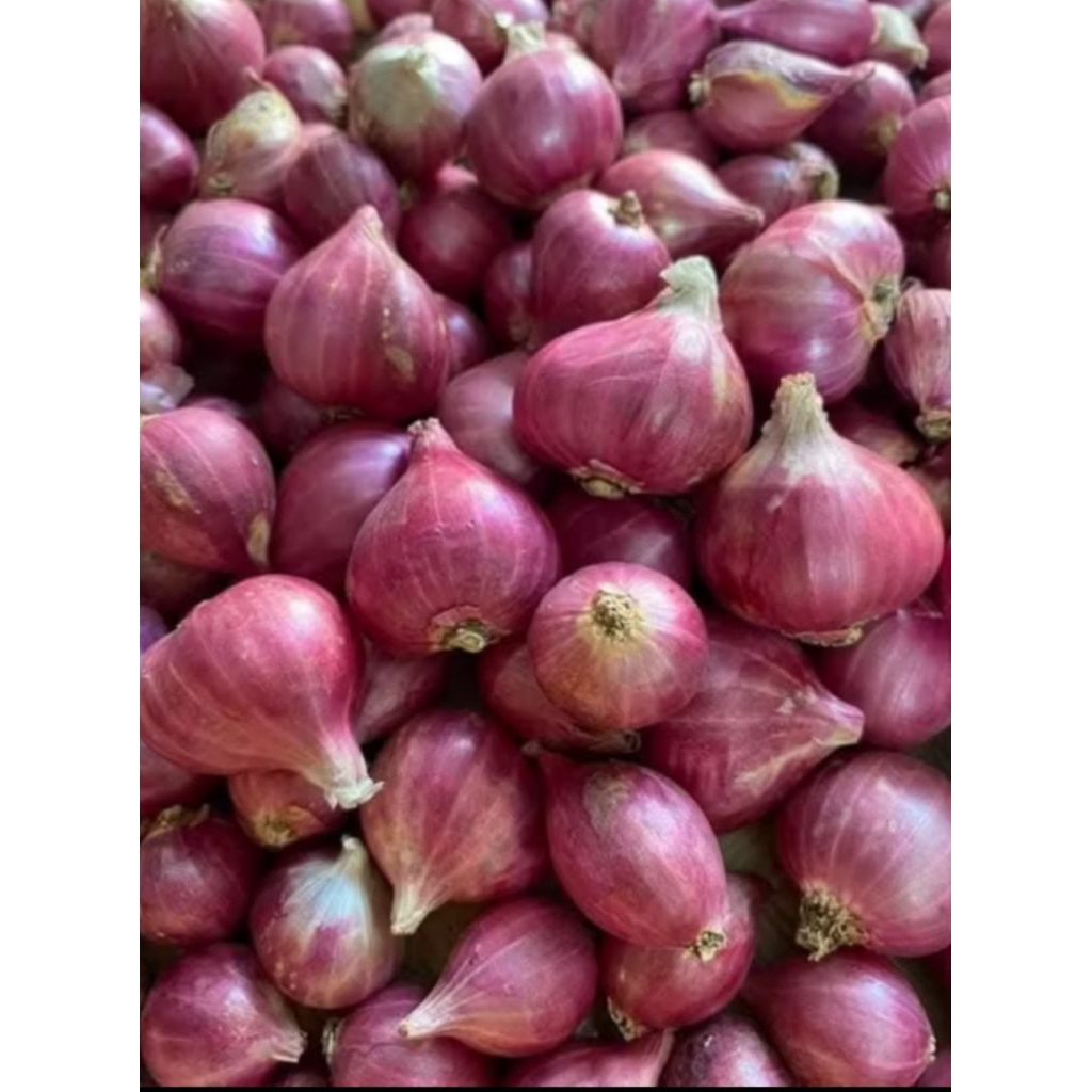 

bawang merah 500 gram