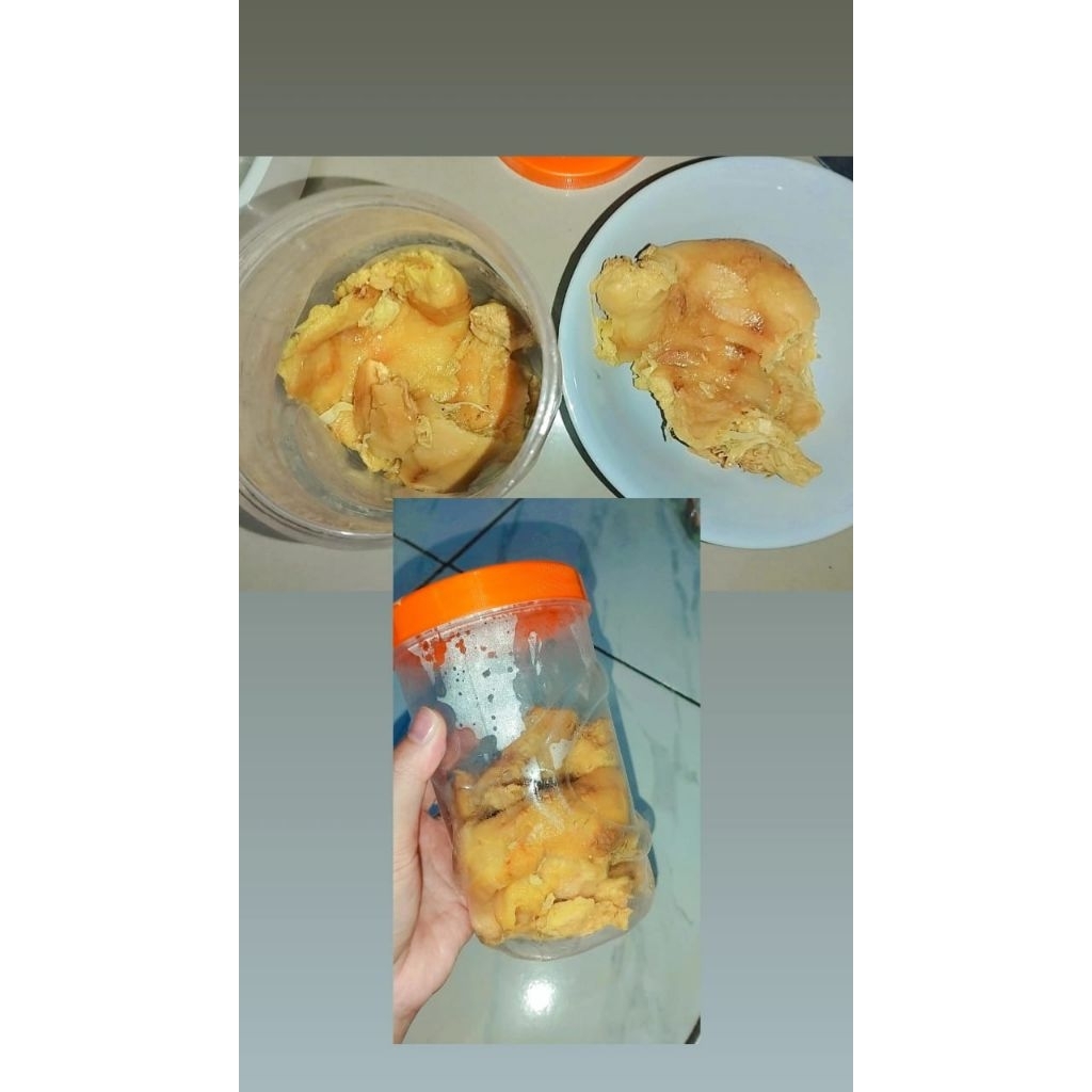 

mandai 1 toples full