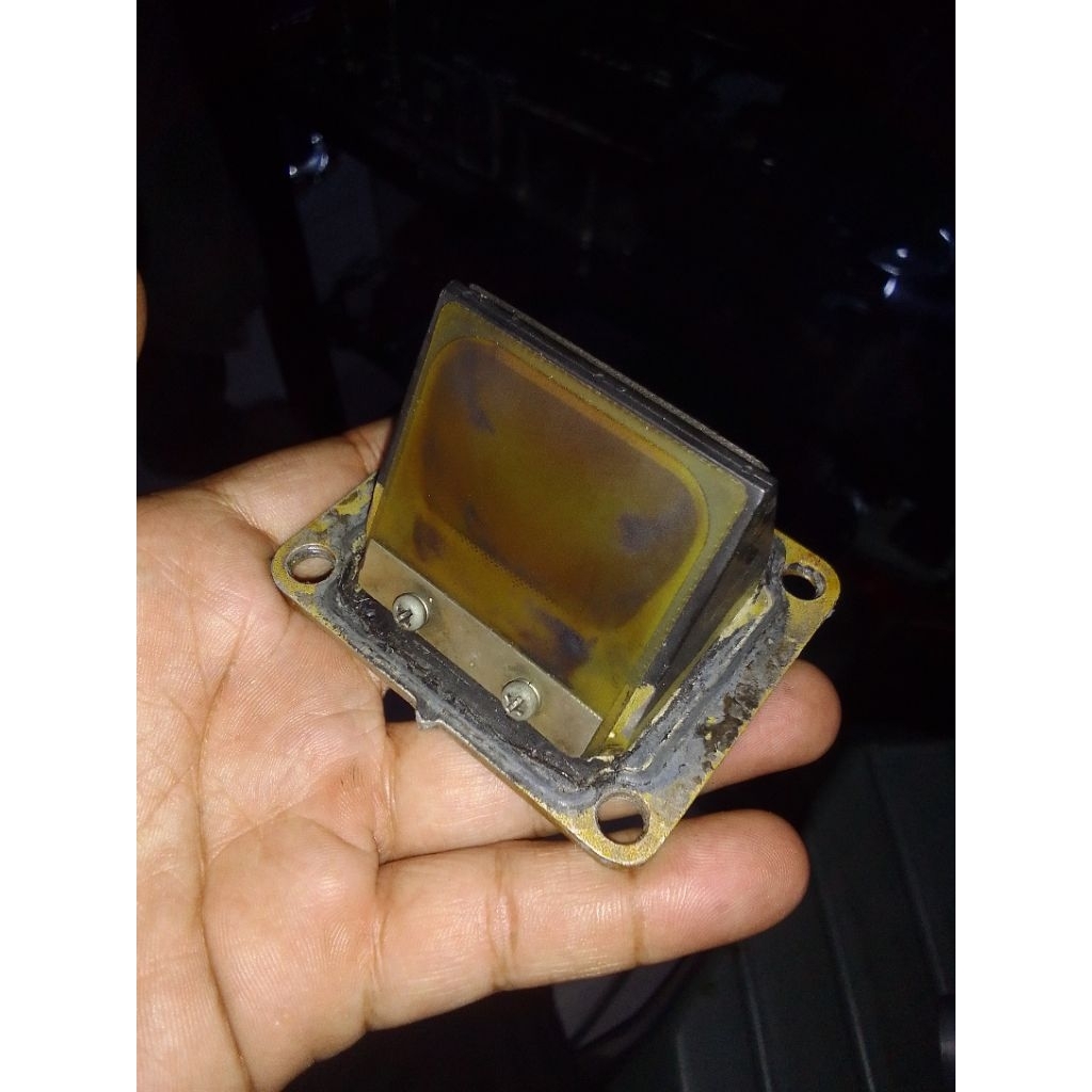 MEMBRAN YZ LIDAH BOYEZEN