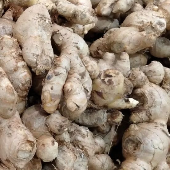 

Jahe Emprit Bumbu Masak Dan Herbal Segar Murah | 500g 1kg