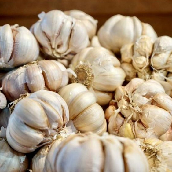 

MJA - Bawang Putih Kotor Segar 500 Gr Regular