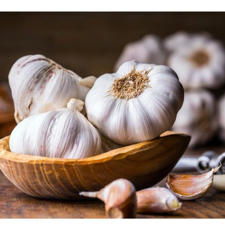 

Bawang Putih Kating Bersih 500 Gr Segar Dan Higienis