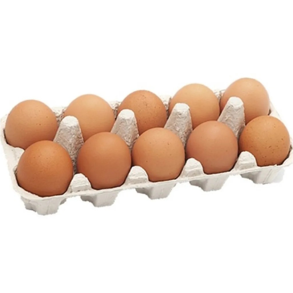 

Telur Ayam Telor Kemasan isi 10 Butir Kirim Sameday & Instan