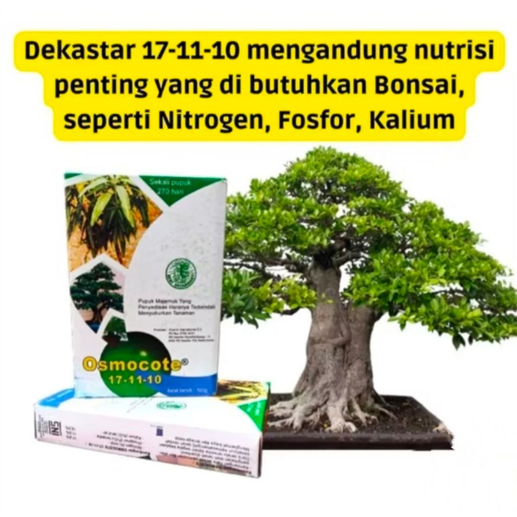 pupuk dekastar osmocote 17-11-10 termurah solusi untuk kesuburan tanaman kesayangan anda