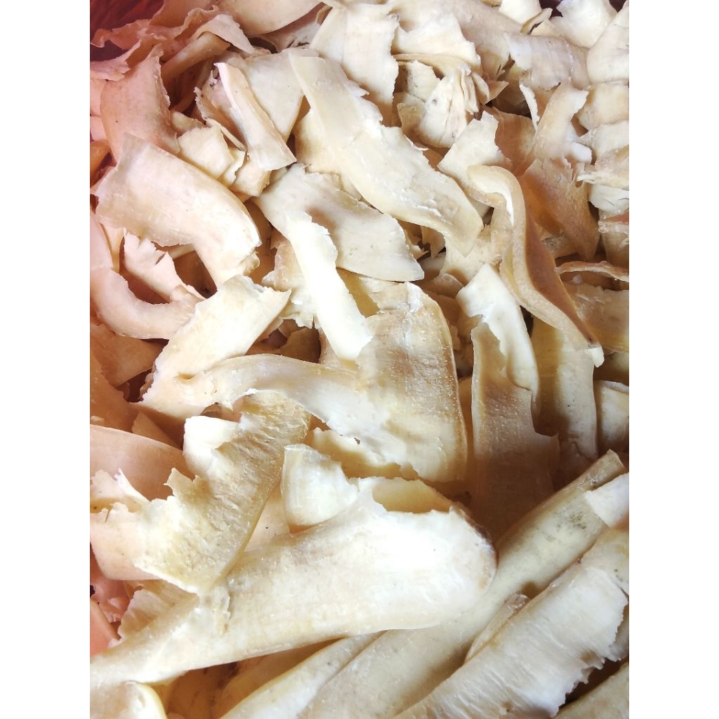

manggleng singkong mentah 400gr