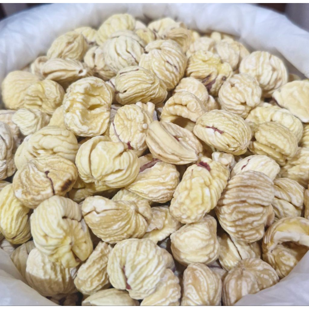 

Kacang Lakci Chestnut Vegetarian 100gr