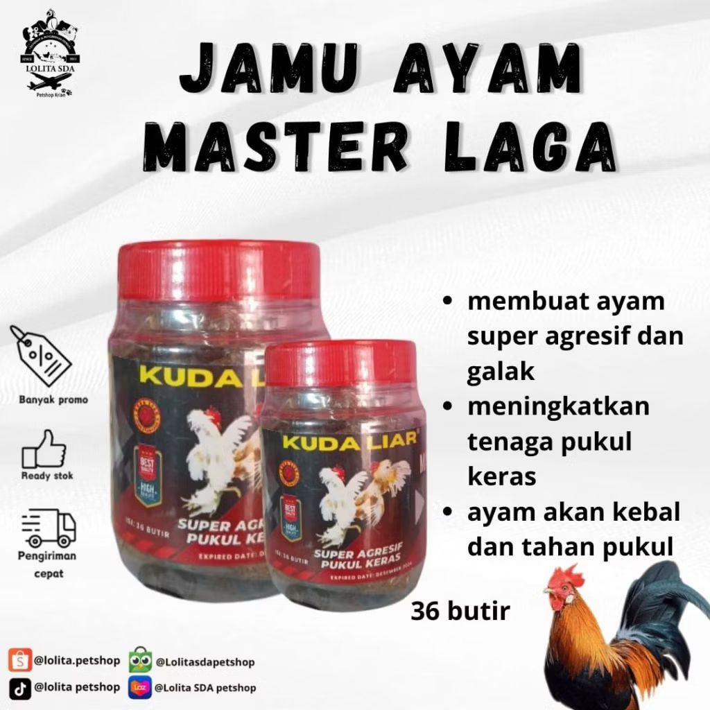 Jamu Ayam master laga Super Pukul Keras