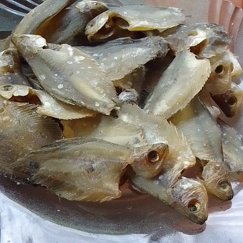 

Ikan asin sapat