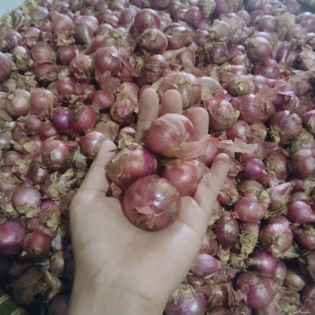 

Bawang Merah Lokal/ Bawang Super 1kg
