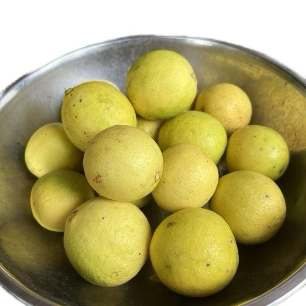 

Jeruk Nipis KUNING 1kg fresh