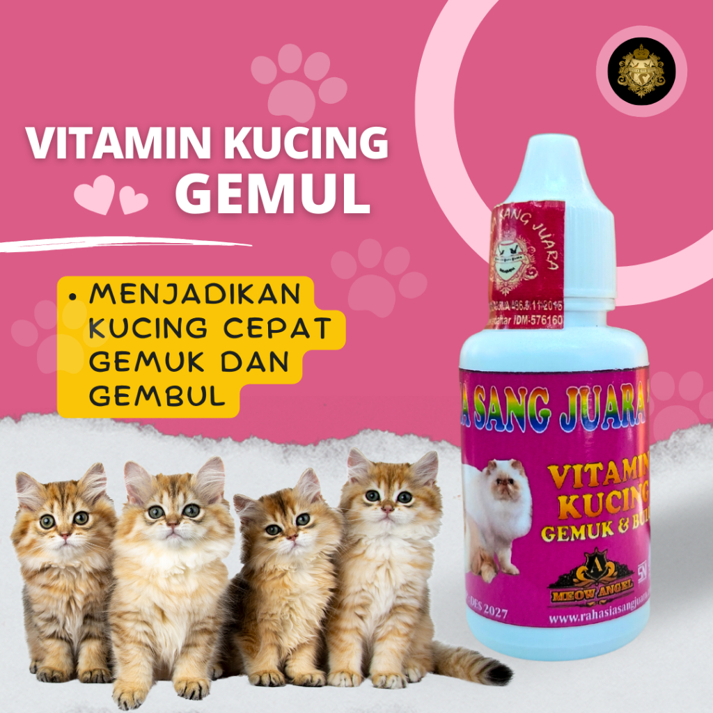 VITAMIN KUCING GEMUK DAN BULU LEBAT PENAMBAH NAFSU MAKAN KUCING