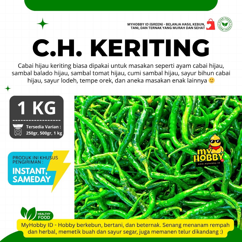

Cabe Hijau Keriting, Bagus & Segar! Cabai Ijo Kriting, Fresh, Harga Murah, Pedas Harum & Berkualitas