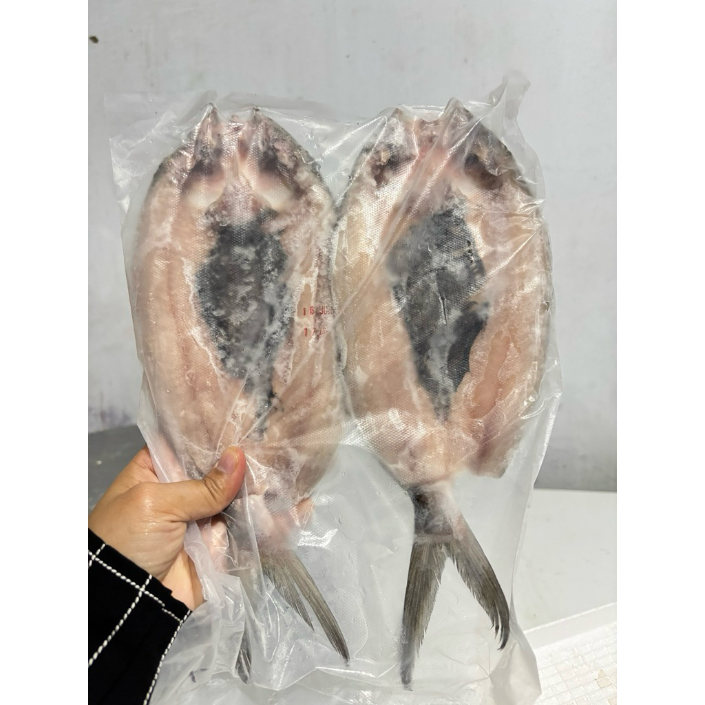 

ikan bandeng tanpa tulang