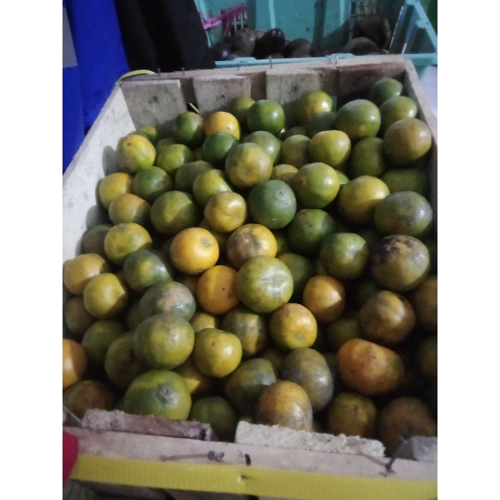 

buah jeruk peras 1kilo