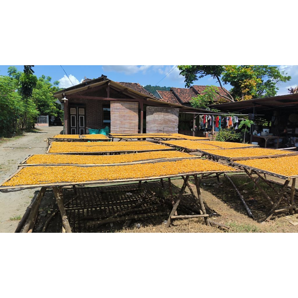 

jagung marning untuk campuran kopi