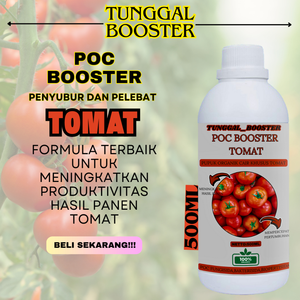 Pupuk Organik cair Tanaman Tomat/Pupuk Melebatkan tanaman tomat/pupuk tomat berbuah lebat/pupuk peny