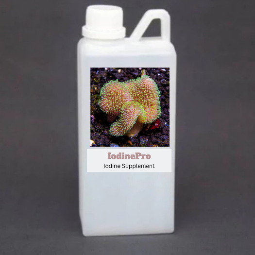 Dosing IodinePro untuk menambah kadar Iodine di Reef Tank Akuarium Air Laut Perawatan Coral Reef Tan