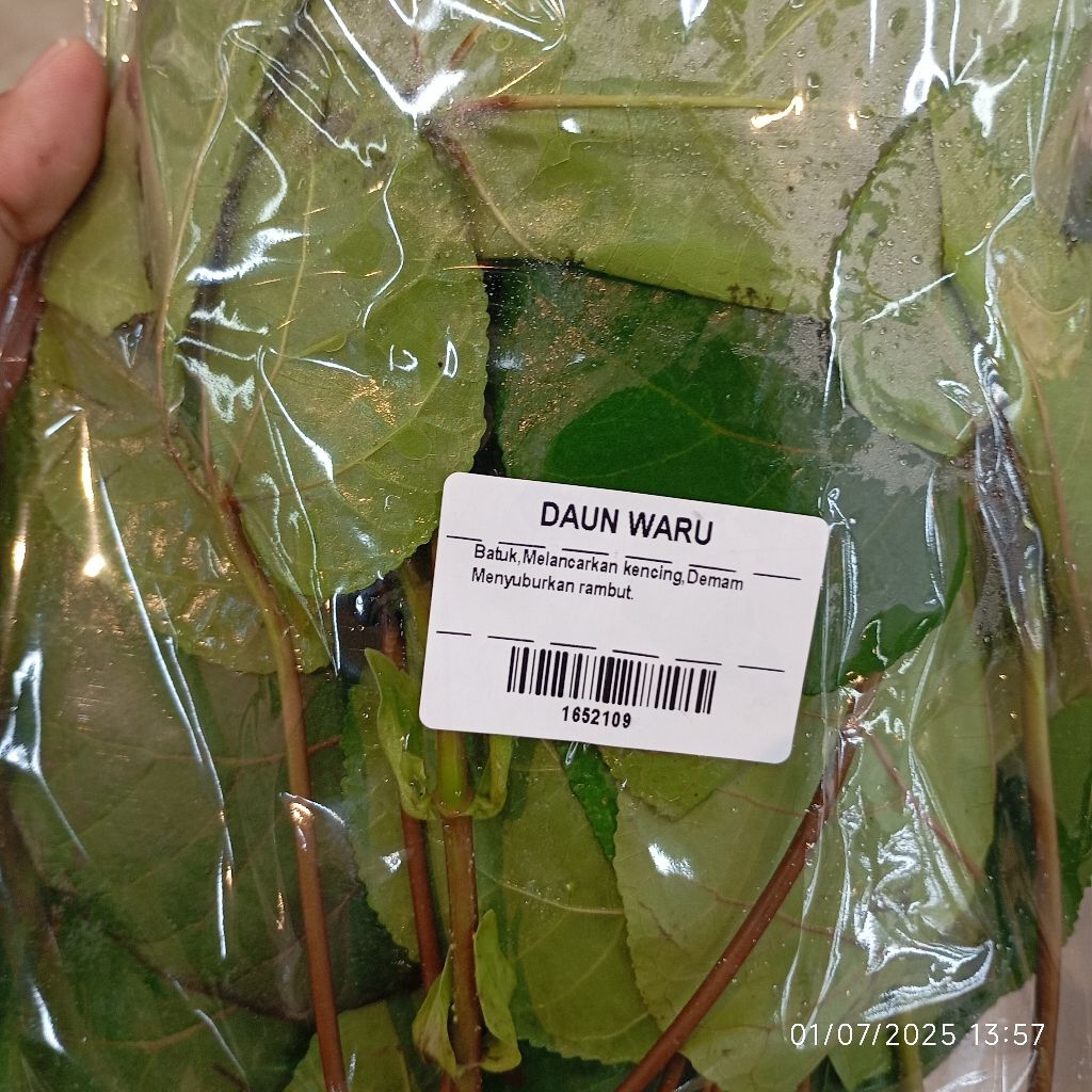 

Daun Waru Segar 100gr Denpasar Bali