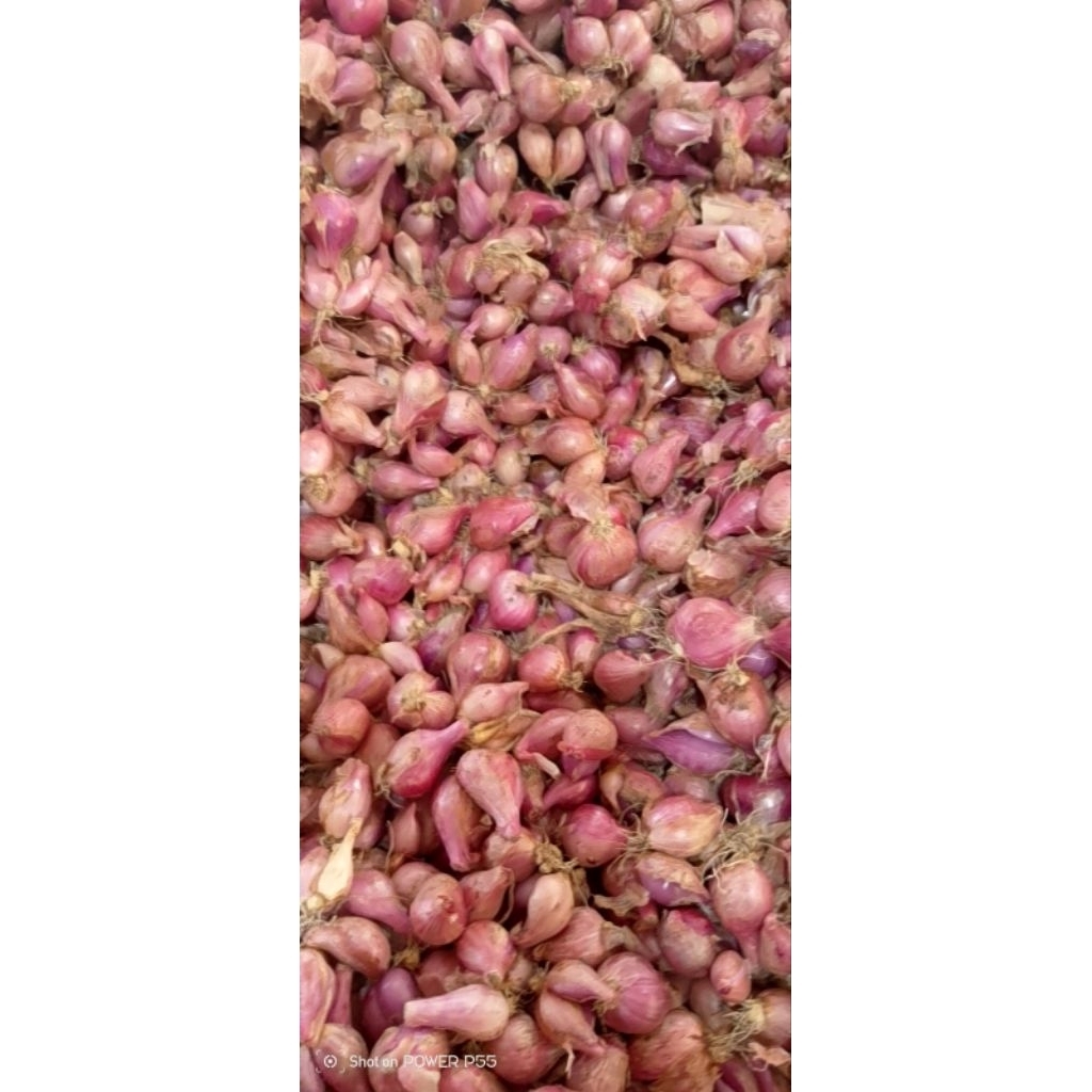

bawang merah kecil gerusan 250g 500g