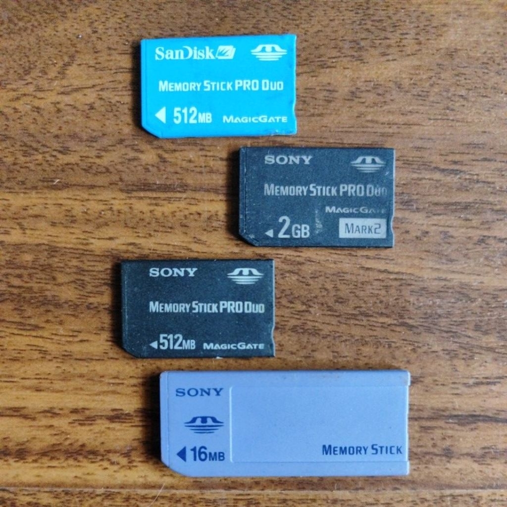 memory stick / memory stick pro duo