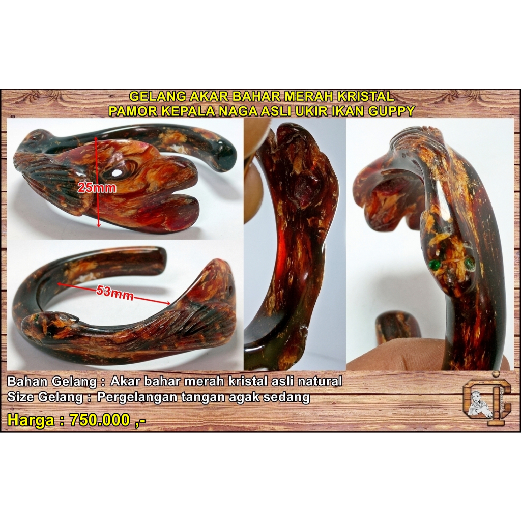Gelang akar bahar merah kristal pamor kepala naga ukir ikan guppy asli alami.