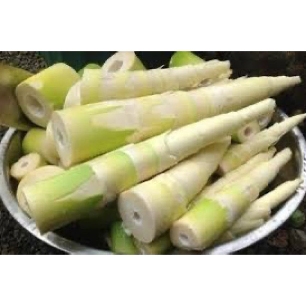 

Sayur Rebung Hutan