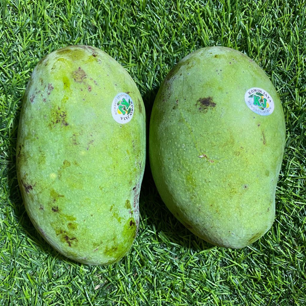 

Mangga Harum manis/kondisi belum mateng