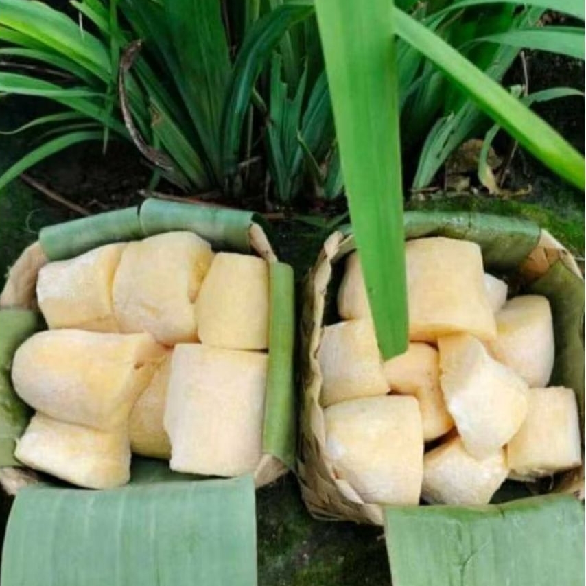 

Tape Singkong Mentega Manis 2Kg *KHAS BONDOWOSO*