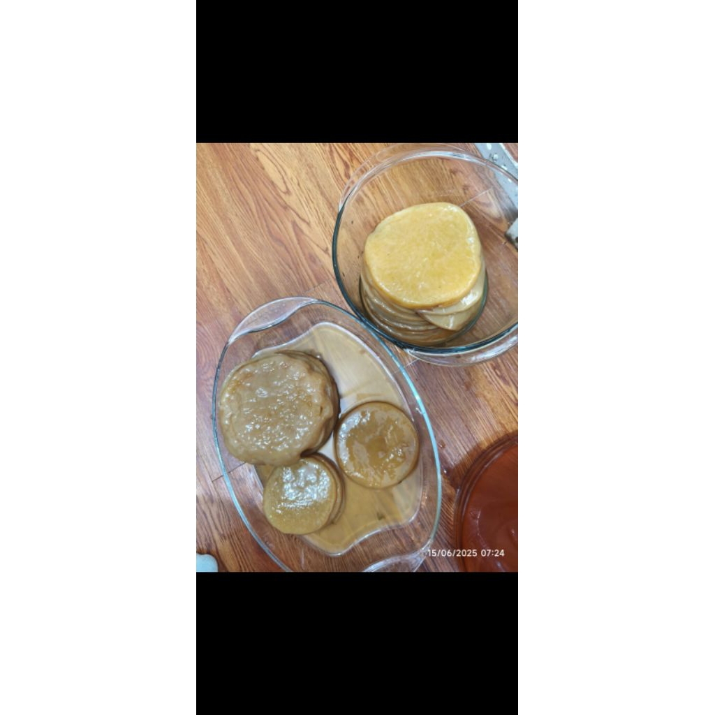 

Scoby Kombucha grade B