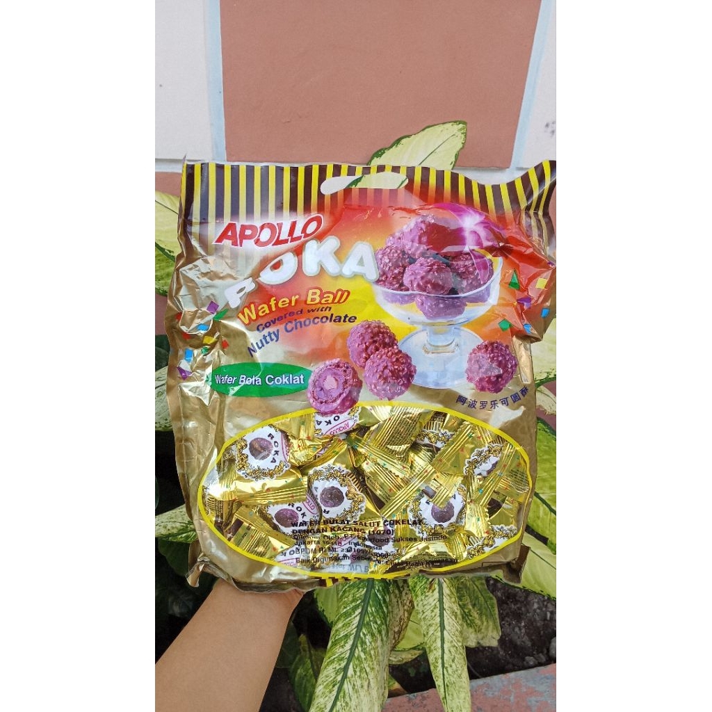 

Roka wafer Ball covered with Nutty Choclate isi 50pcs (Apollo)