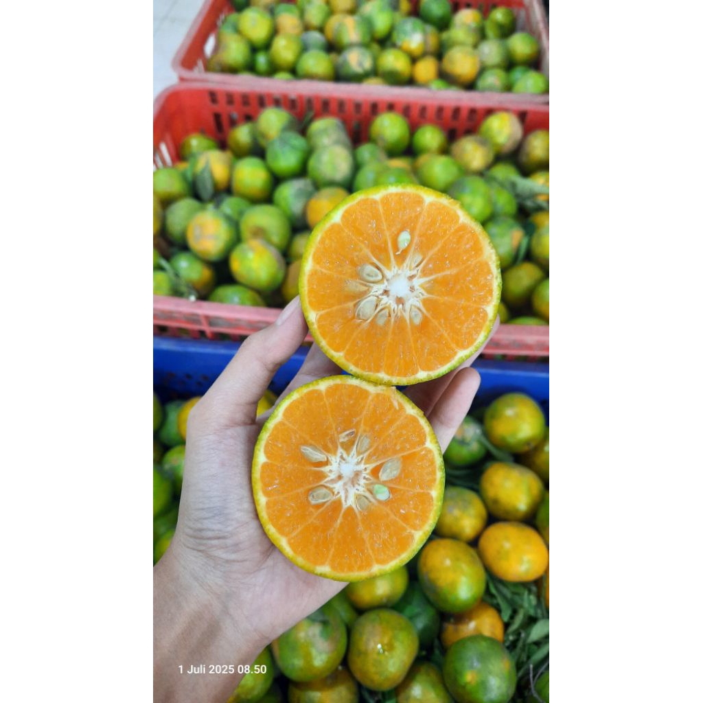 

jeruk madu Poncokusumo