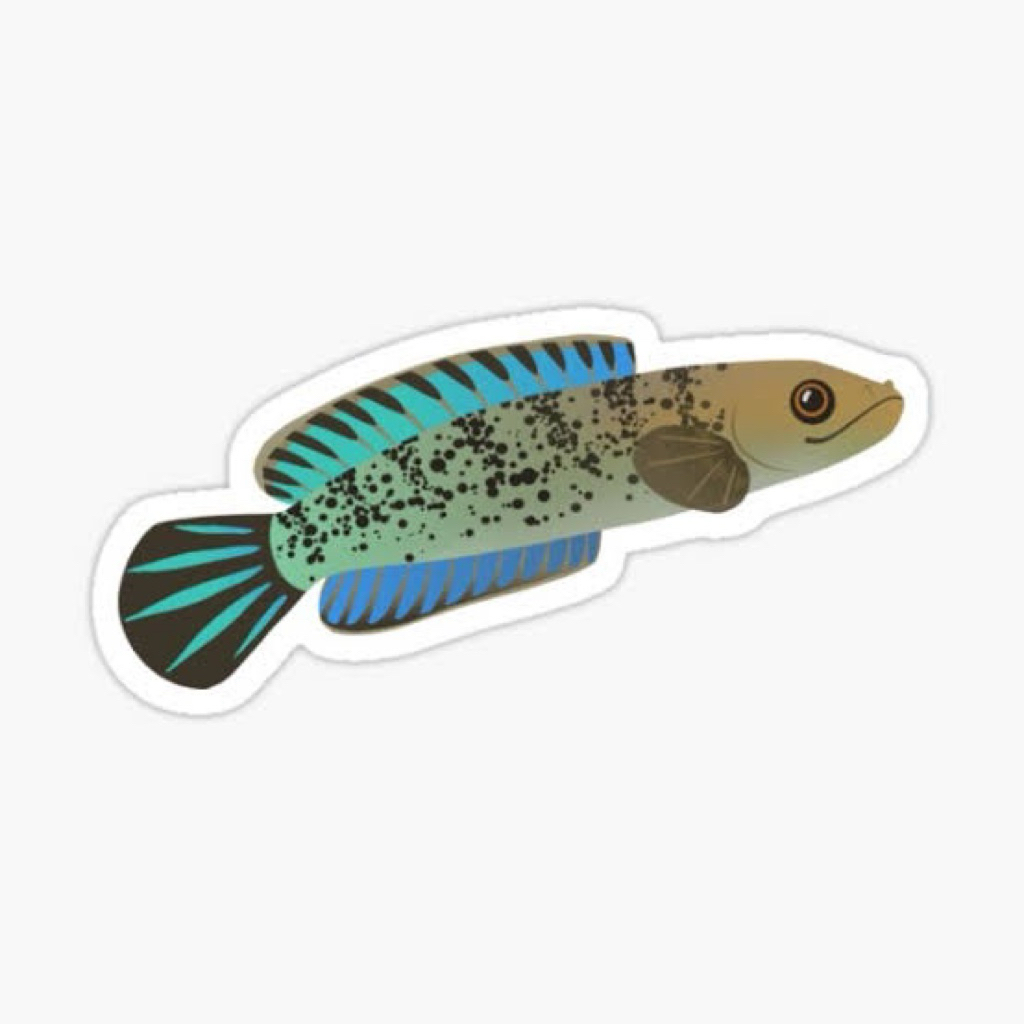 

stiker stewarti fulldot gondrong