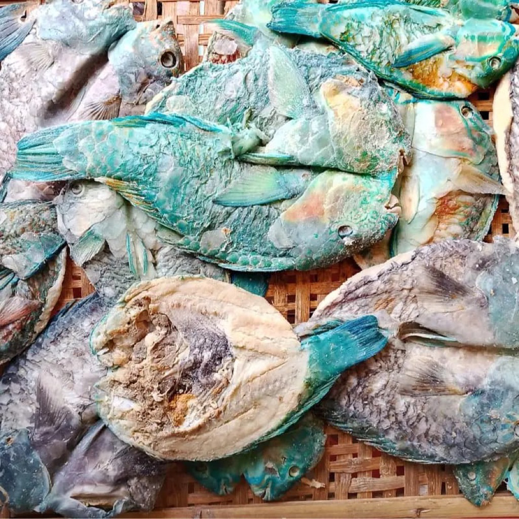 

ikan asin karang mogo / kakak tua 250gram