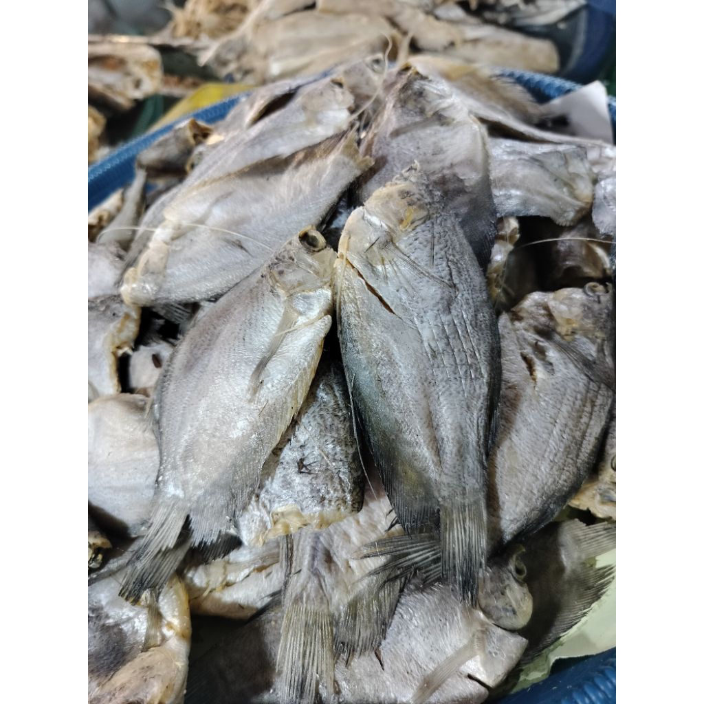 

IKAN ASIN SEPAT/IKAN ASIN PALEMBANG/IKAN ASIN MURAH