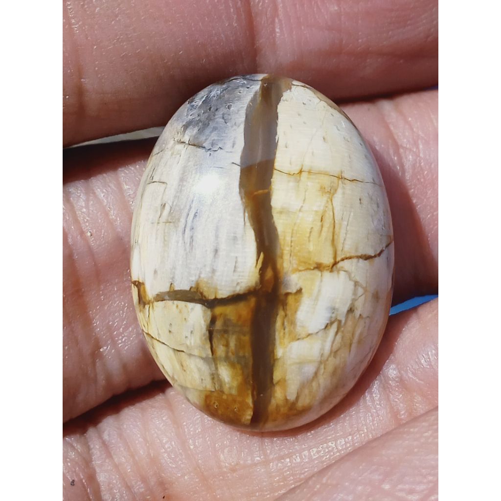 Batu Fosill Kelor Putih Tapak Jalak Antik