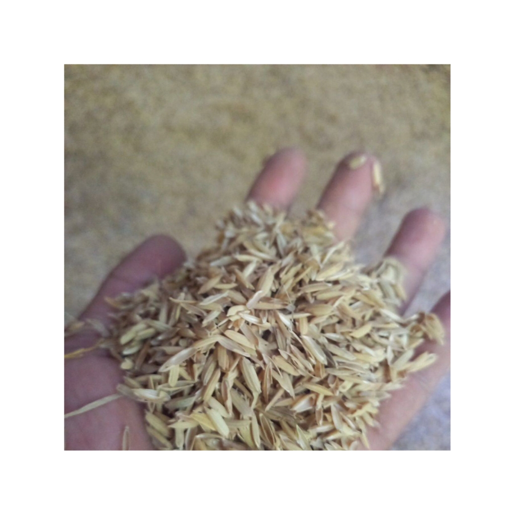 merang padi  sekam mentah 1kg