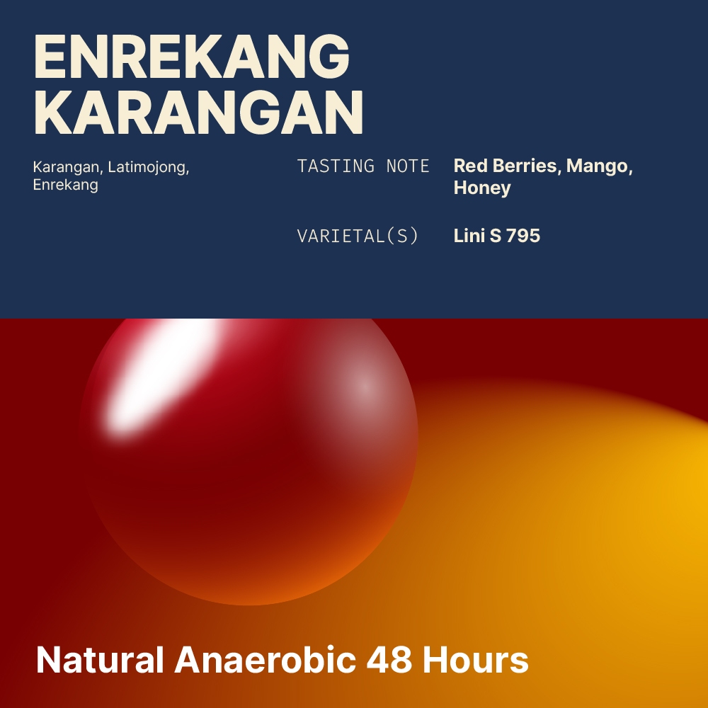

Enrekang Karangan - Natrual Anaerobic 48H