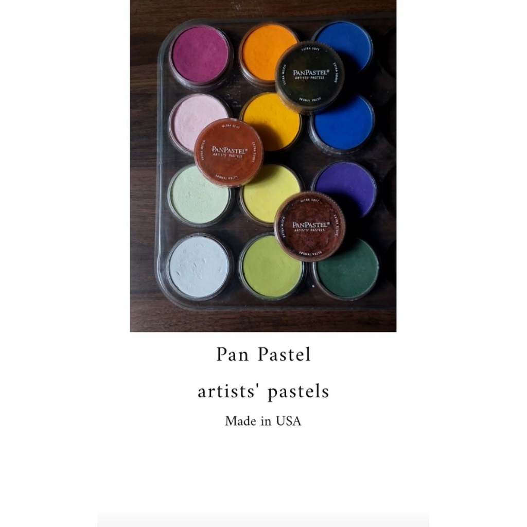 

Pan Pastel Made in USA Repack Size Panpastel 2 gram Share in Jar