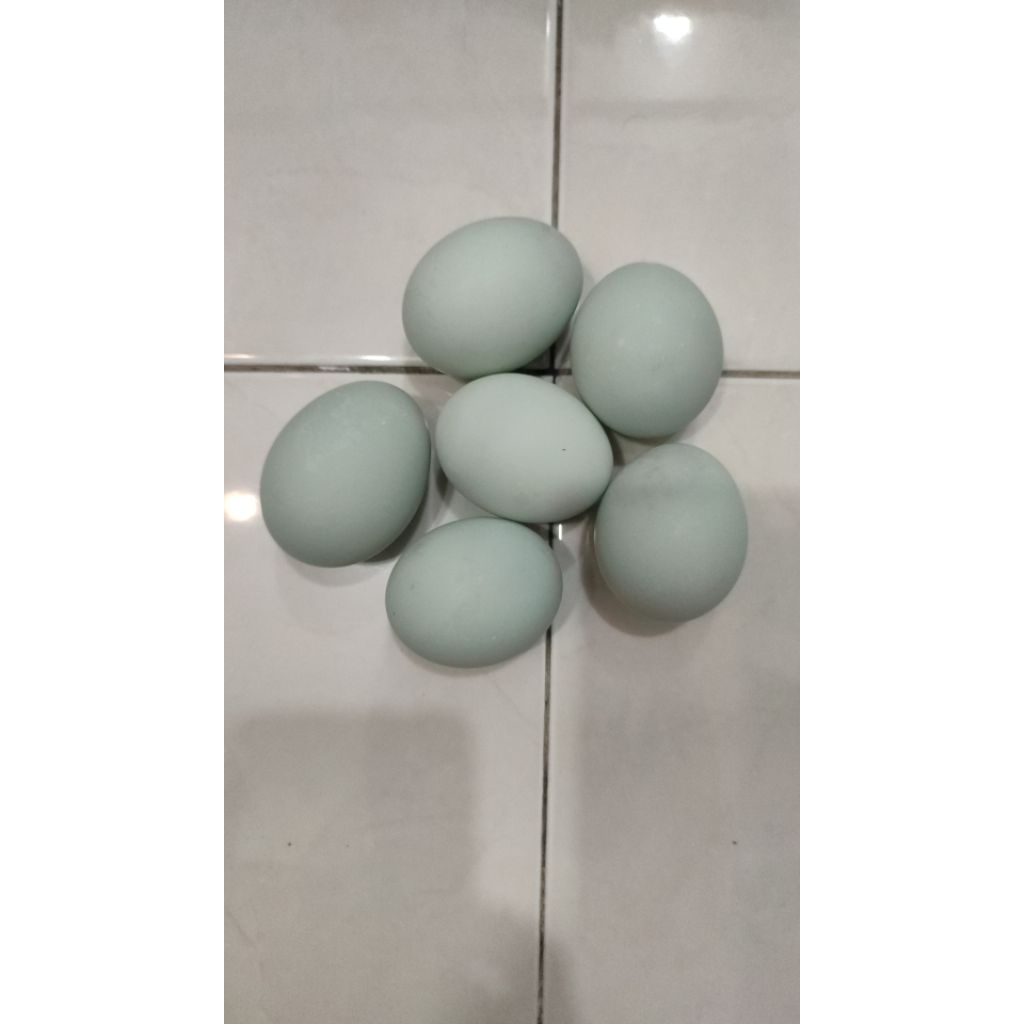 

Telur asin bebek/telur asin siap makan.