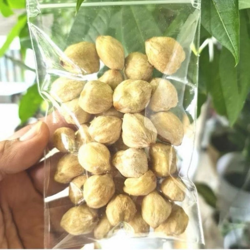 

KODE 2 ; Kemiri Kupas bulat asli 100grm kualitas bagus