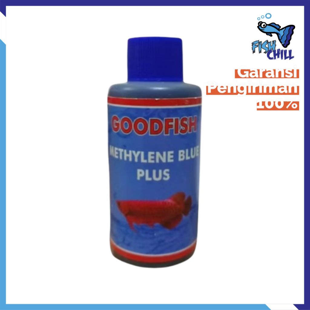 METTHYLENE BLUE OBAT IKAN • Aquascape Soliter Mini Lampu LED Batu Pasir Malang Aksesoris Mesin Busa 