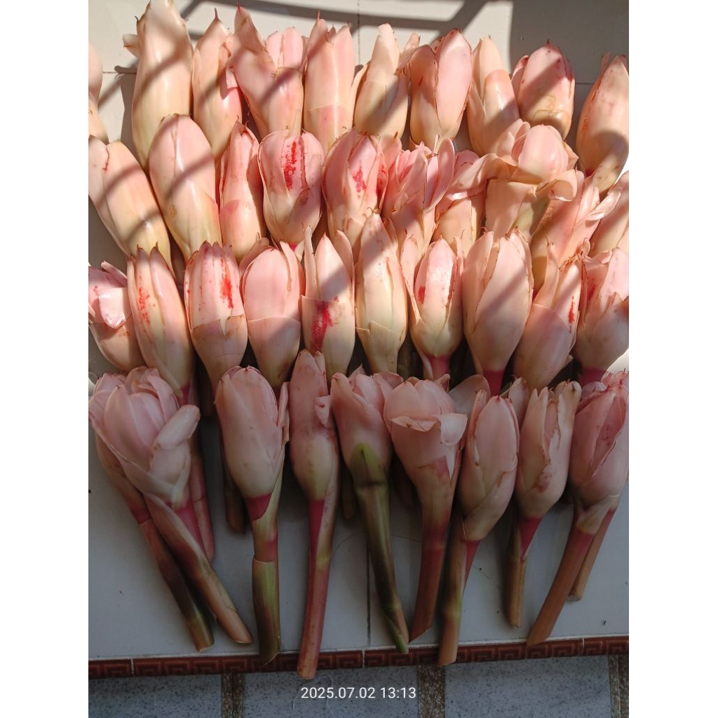 

Kecombrang/Kicung/ Rias Sambal Rempah Penyedap Rasa 500 Gram