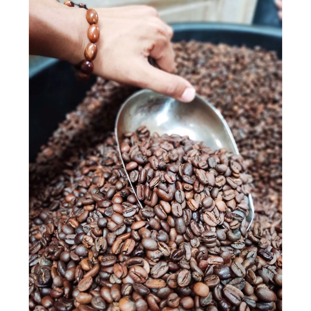 

BIJI KOPI SPECIALTY GAYO, SEMIWASH ACEH GAYO | distributor kopi gayo | paket jualan kopi