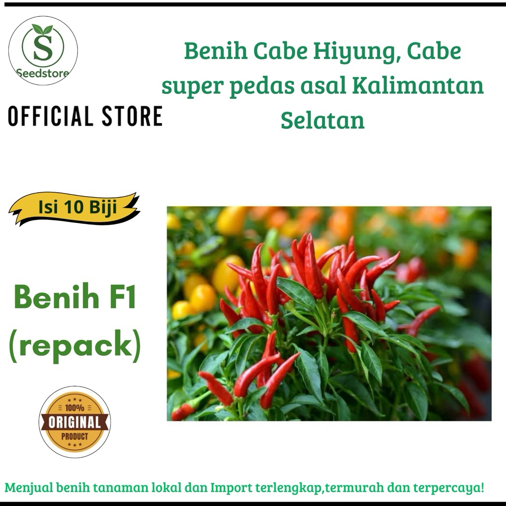 ISI 10 BIJI Benih Cabe Hiyung, Cabe super pedas asal Kalimantan Selatan